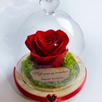 Подарък за рожден ден / Естествена Вечна Роза в Стъкленица / Уникален Подарък за Жена, снимка 2 - Други - 28122874