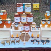 Пчелен мед,пити с мед   - реколта 2023, снимка 12 - Пчелни продукти - 18858767