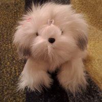 Нова играчка космато бяло кученце Подарък за Коледа за дете, снимка 4 - Плюшени играчки - 39060357