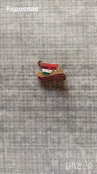 Стара унгарска значка 1958 година , снимка 1