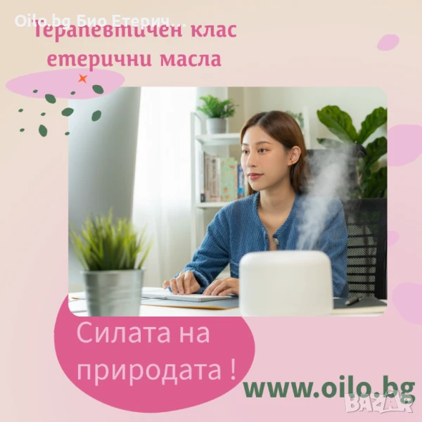 🌿 Лятото свърши, но хармонията може да остане! Създай свежа, чиста и продуктивна работна среда с Oi, снимка 1