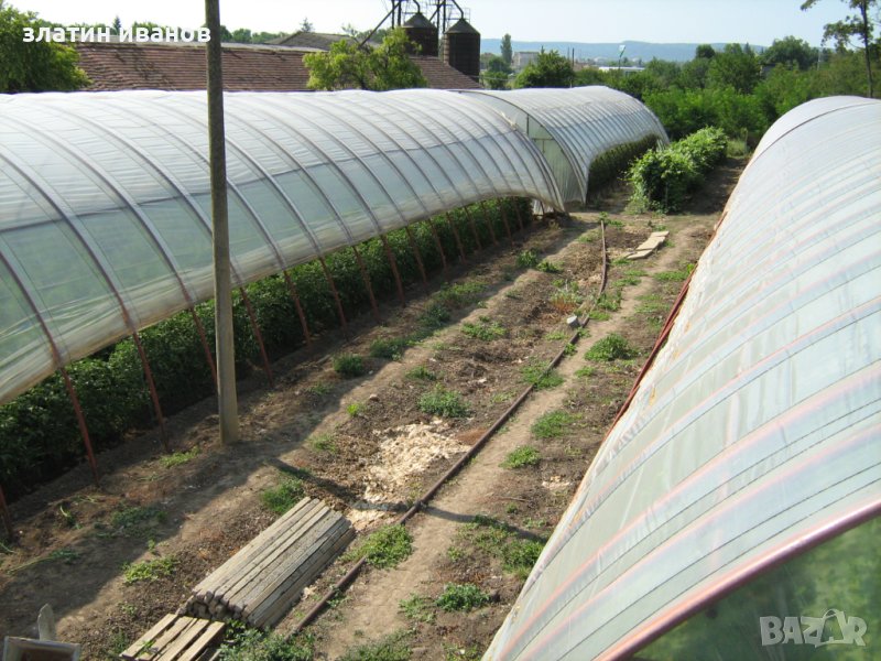 Поликраище,имот,парцел,оранжерий, снимка 1