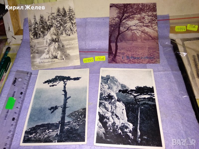 ЛОТ 4 СТАРИ ПОЩЕНСКИ КАРТИЧКИ - ГЕРМАНИЯ РУСИЯ ПРИРОДА РЕДКИ ДЪРВЕТА ЗИМА 35995, снимка 1