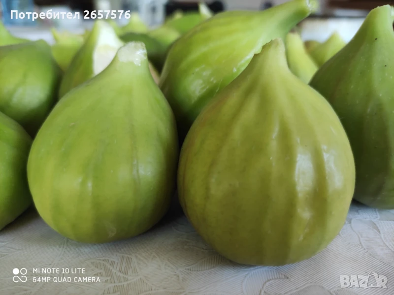 Смокини, снимка 1