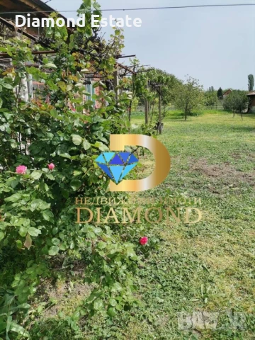 Едноетажна къща в село Книжовник, обл. Хасково, снимка 14 - Къщи - 51352509