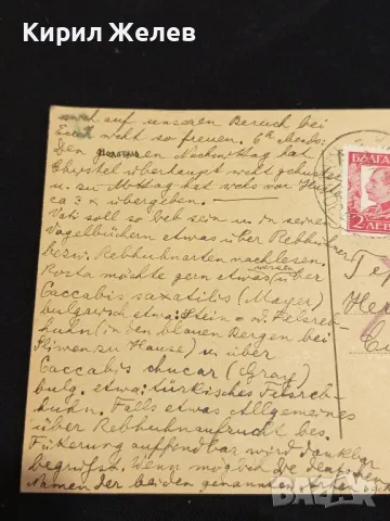 Стара пощенска картичка Царство България 1934г. с печати и марки за КОЛЕКЦИОНЕРИ 48299, снимка 6 - Филателия - 48258238