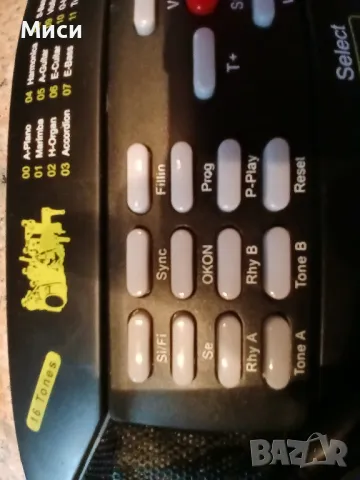 йоника детска, снимка 6 - Музикални играчки - 48355458