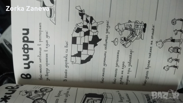 дневникът на един дръндьо направи си сам книга, снимка 4 - Детски книжки - 52292434