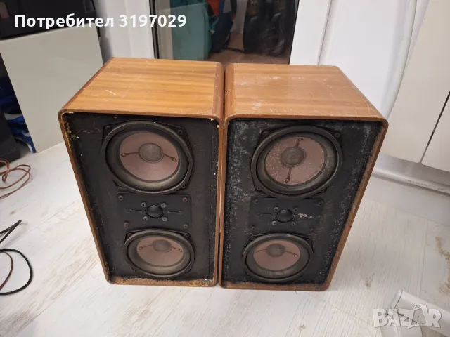 Редки тонколони немски, снимка 13 - Тонколони - 48348976