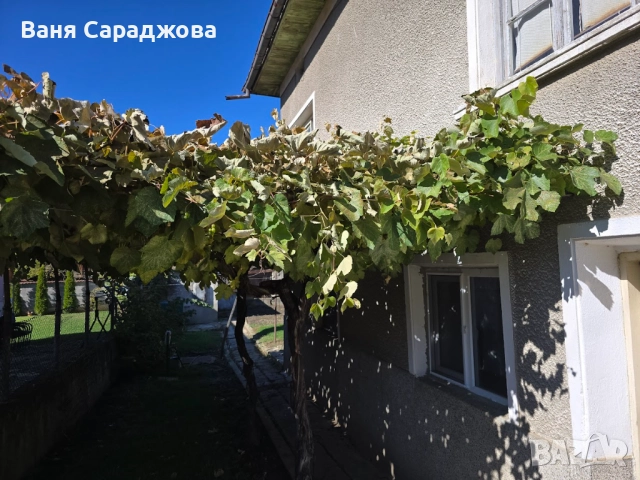 Къща в с.Душанци, снимка 3 - Къщи - 52394968