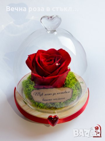 Подарък за рожден ден / Естествена Вечна Роза в Стъкленица / Уникален Подарък за Жена, снимка 2 - Други - 28122874