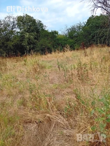 Дворно място, снимка 3 - Земеделска земя - 51367423