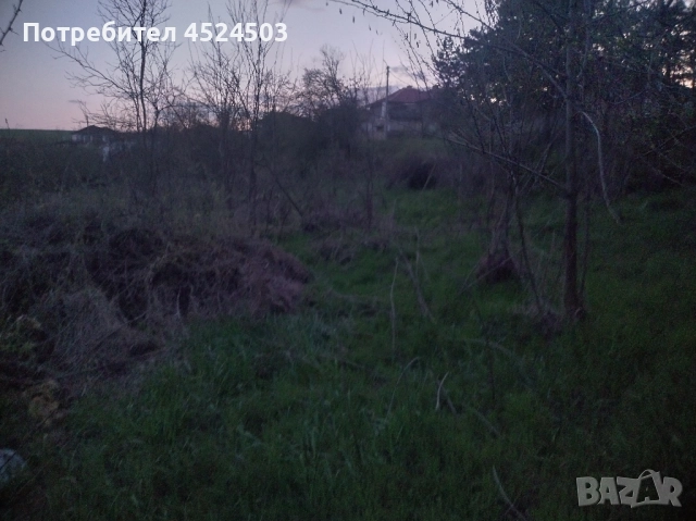 Дворно място село Цани Гинчево, снимка 5 - Парцели - 52354249