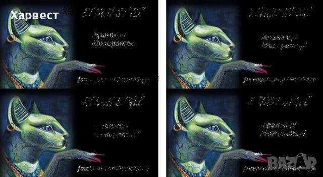 Изработка на визитки , снимка 3 - Копирни услуги - 52317464