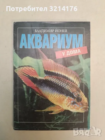 Аквариум у дома - Владимир Йонев