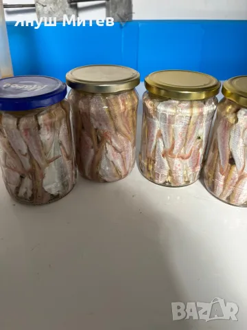 Мариновани риби, снимка 6 - Зимни спортове - 55774687