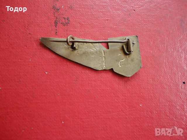 Армейски бронзов знак с емайл , снимка 5 - Колекции - 52615815