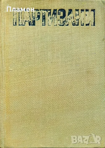 Партизани Иван Гинчев-Йонко , снимка 2 - История, политика и общество - 56211645