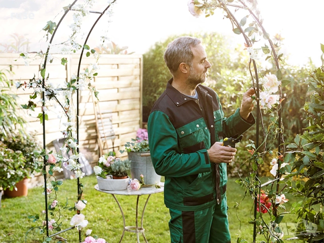 НОВА! Арка за рози 260 х 38 х 133 см, снимка 2 - Градински мебели, декорация  - 52399468