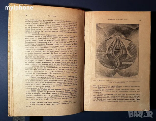Стара Книга Ръководство по Половия Въпрос Д-р Вандер 1946 г., снимка 6 - Специализирана литература - 49529349