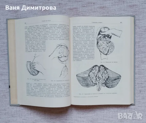 Практическо ръководство по патологична анатомия , снимка 3 - Специализирана литература - 55779319