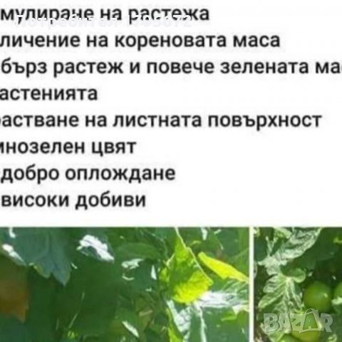 Есенно обеззаразяване и обогатяване на почвата с Био Ком Универсал , снимка 4 - Тор и почвени смеси - 29715705