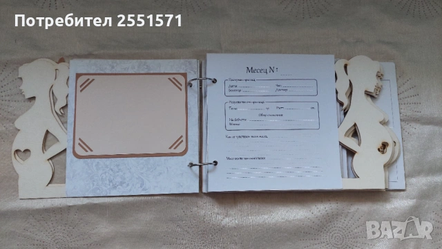 Албум Моята бременност, снимка 3 - Други - 54250638