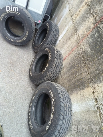 Гуми Radial Wild cat A/T 30x9.50/15 4 броя