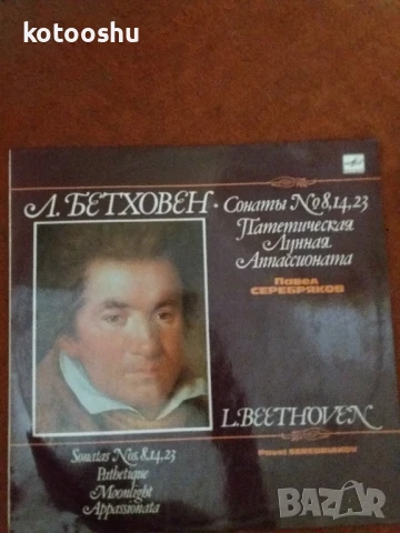 Ретро грамофонни плочи, снимка 11 - Грамофонни плочи - 51263656