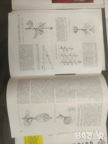 Продавам списание "Български плодове , зеленчуци и консерви " От 70-те, , снимка 14 - Списания и комикси - 50422300