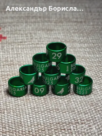 Пожизнени пръстени за 2025 г., снимка 5 - За птици - 48763435