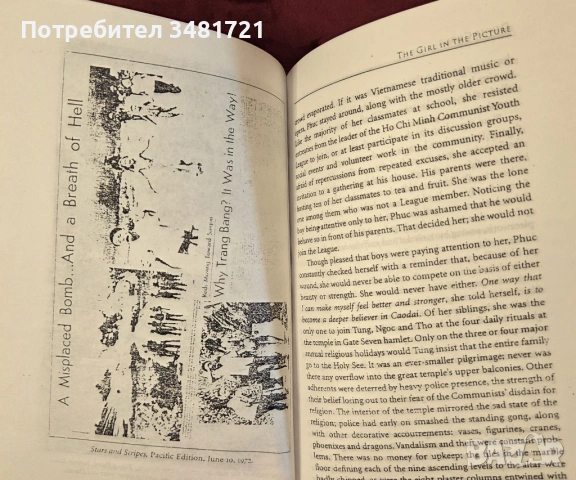 История на най-известната снимка и виетнамската война / The Girl in the Picture, снимка 9 - Художествена литература - 54168099