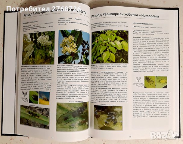 "Зърнено-житни култури. Болести. Неприятели. Плевели", снимка 2 - Специализирана литература - 31134906