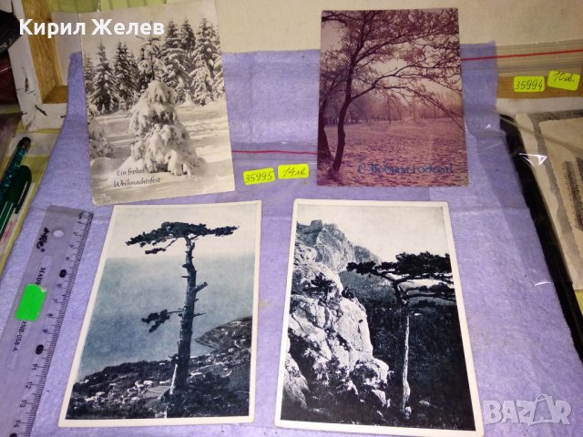ЛОТ 4 СТАРИ ПОЩЕНСКИ КАРТИЧКИ - ГЕРМАНИЯ РУСИЯ ПРИРОДА РЕДКИ ДЪРВЕТА ЗИМА 35995