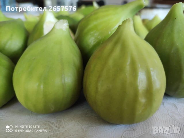 Смокини, снимка 1