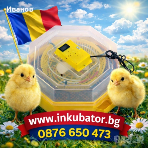 Румънски Инкубатори