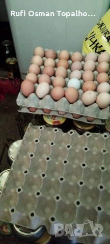 продавам пресни домашни яйца, снимка 2 - Кокошки и пуйки - 53905930