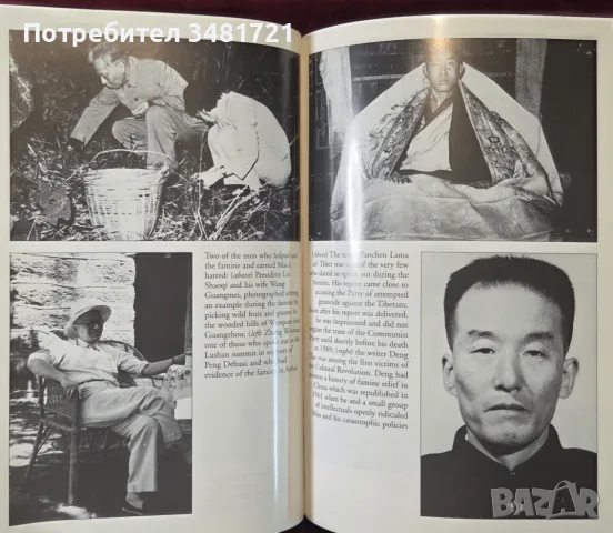 Hungry Ghosts. China's Secret Famine, снимка 12 - История, политика и общество - 55964216