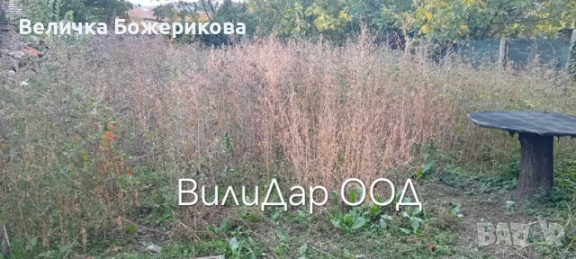 Хамалски услуги, снимка 4 - Хамалски услуги - 52342835