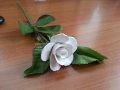 Порцеланова роза, снимка 1 - Антикварни и старинни предмети - 37685399