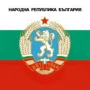 РЕТРО Българска Дървена ШЕЙНА 103x44x40 см Зимни Детски Шейни Бук Пързалка Сняг НРБ 1970-те БАРТЕР, снимка 6