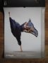 Плакати от стенни календари на тема жени / гимнастика / мода - картини, снимка 6
