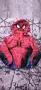 Яке Ветровка Spiderman HM110 / 116, снимка 2