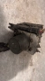 ABS Помпа / ABS Модул за Ford Fiesta - 06.2103-1317.4 / 28.5700-5902.3, снимка 1