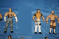 20 Кеч Фигури със забележки Bobby Fish Elite/Undertaker/Lana/The Miz/CM Punk/Matt Hardy/Edge/Randy, снимка 3