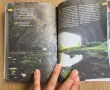 6 книги-Илън Мъск,Чарлс Буковски и др, снимка 15