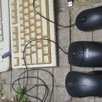Клавиатури и мишки , снимка 1 - Клавиатури и мишки - 36860956