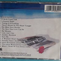 Chris de Burgh – 2002 - Timing Is Everything...+5 bonus tracks(Soft Rock,Pop Rock,Ballad), снимка 7 - CD дискове - 44354803