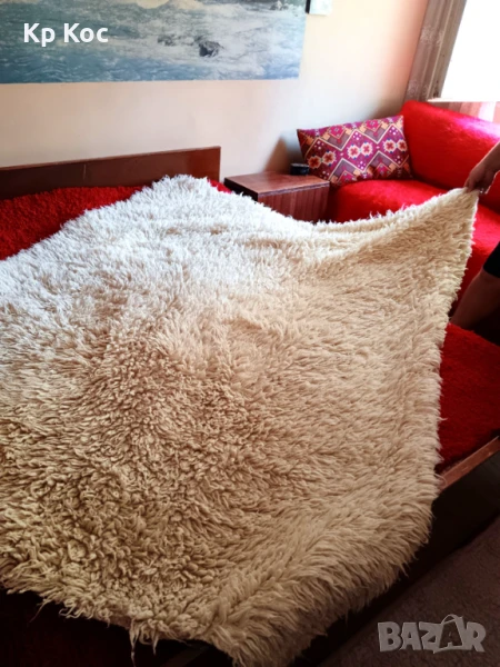 Бял китеник с дълъг косъм, снимка 1