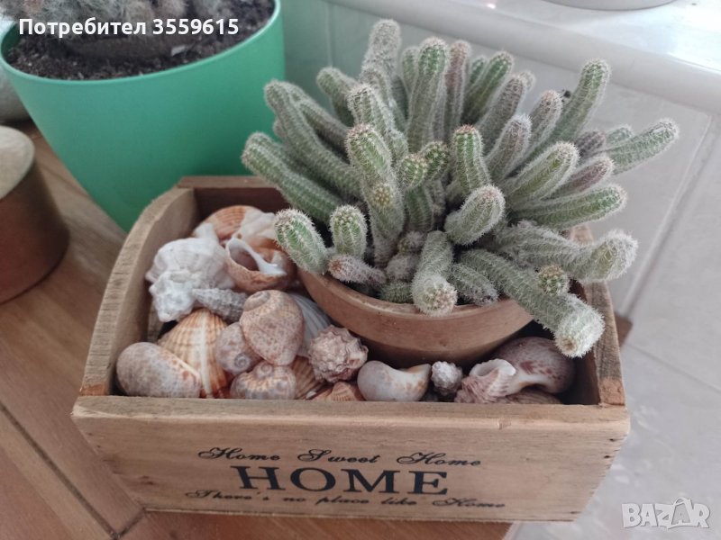 дървено сандъче, снимка 1